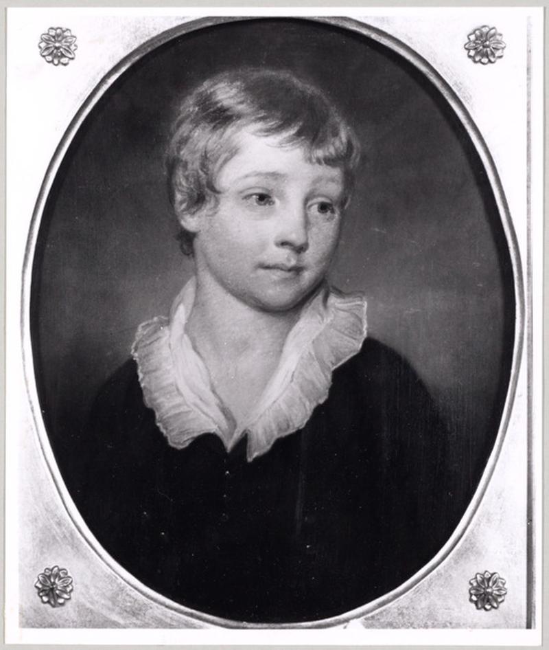 Volledige afbeelding voor het kunstwerk genaamd Portret van Willem Boreel, 9e Baronet